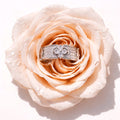 Bague Nova